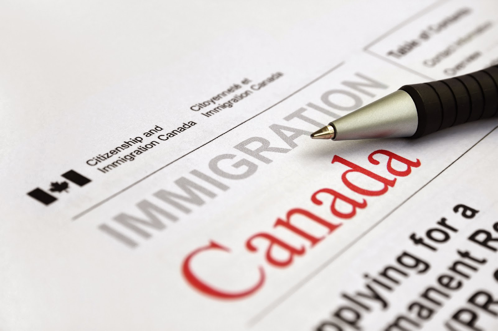 What are the requirements for obtaining a Canadian Visa?
